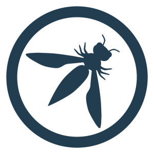 Large Language Models and Security